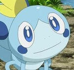 SOBBLE + EVOS // POKEMON